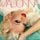 Artikelbild von Bedtime Stories, 1 Schallplatte