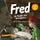 Artikelbild von Fred im Reich der Nofretete
