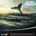 Artikelbild von Moby-Dick oder Der Wal