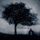 Artikelbild von Winter Ethereal