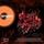 Artikelbild von Lost Monsters