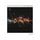 Artikelbild von Roots (Digipak)