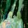 Artikelbild von Transparence