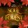Artikelbild von Soul of the Forest