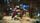 thumbnail-11