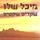 Artikelbild von שקרים שקטים