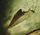 Artikelbild von Phases