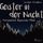 Artikelbild von Geister in der Nacht. Nationalpark Bayerischer Wald (Ungek&uuml;rzt)