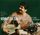 Artikelbild von Music of Central Asia Vol.3: Homayun Sakhi
