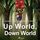 Artikelbild von Up World, Down World