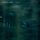Artikelbild von Canopee