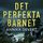 Artikelbild von Det perfekta barnet