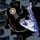 Artikelbild von Echolocation