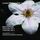Artikelbild von Beethoven: Symphonies Nos. 1 & 4