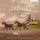 Artikelbild von Dussek:Violin Sonatas Vol.2