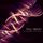 Artikelbild von So Beautiful or So What, 1 Audio-CD