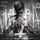 Artikelbild von Bieber, J: Purpose