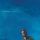 Artikelbild von Borrowed Time