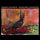 Artikelbild von Harvest Highway