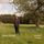 Artikelbild von Meadows And Mirrors