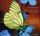 Artikelbild von Symbiosis