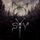 Artikelbild von Syv