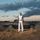 Artikelbild von The High Road