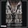 Artikelbild von Bright Lights and Summer Nights