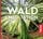 Artikelbild von Waldmeditation