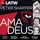 Artikelbild von Amadeus