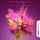 Artikelbild von Starburst Effect