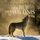 Artikelbild von Der Ruf der Wildnis