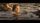 thumbnail-13