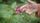 thumbnail-10
