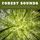 Artikelbild von Forest Sounds: Forest Nature Sounds for Meditation, Deep Sleep & Relaxation (XXL Bundle)