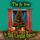 Artikelbild von The Fir Tree