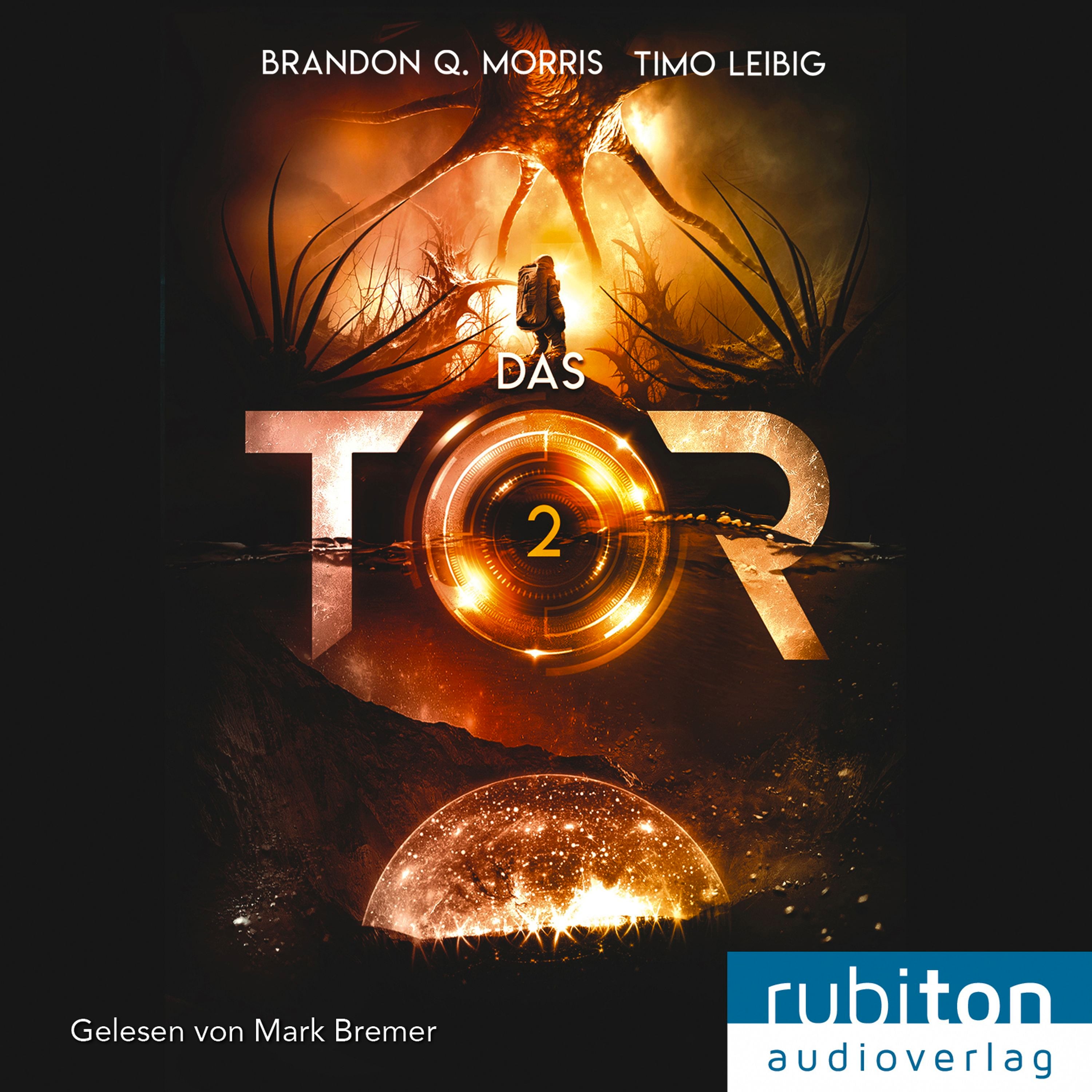 Artikelbild von Das Tor 2