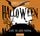 Artikelbild von Halloween