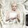 Artikelbild von Beyond Eternity