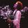 Artikelbild von The Complete Budokan 1978