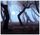 Artikelbild von Norr