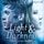 Artikelbild von Light & Darkness