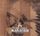 Artikelbild von Boogie Indians