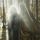 Artikelbild von Ancient Astronauts