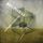 Artikelbild von Disciplinary Architecture