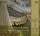 Artikelbild von 24 Pieces De Fantaisie Vol.1: op.51 & Op