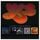 Artikelbild von Original Album Series