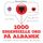 Artikelbild von 1000 essensielle ord p&aring; albansk