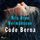 Artikelbild von Code Berna