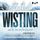 Artikelbild von Wisting und der See des Vergessens (Cold Cases 4)